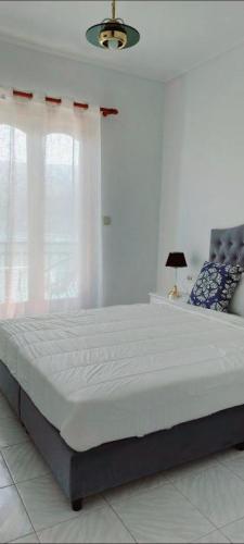 Celebrity Hotel Argostoli  Room photo